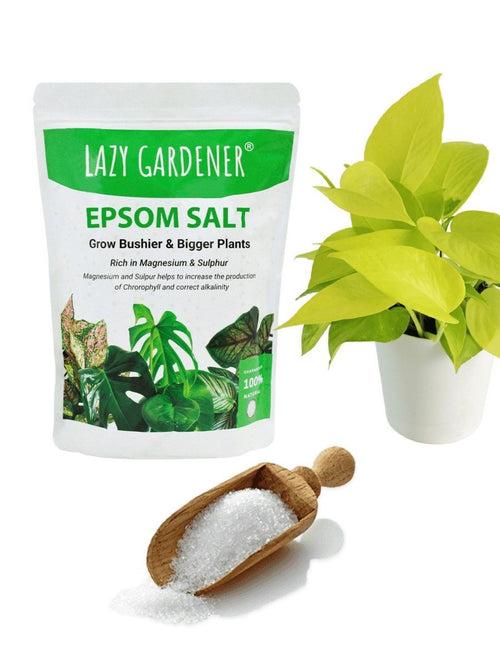 Epsom Salt Fertilizer for Plants (Magnesium Sulphate)