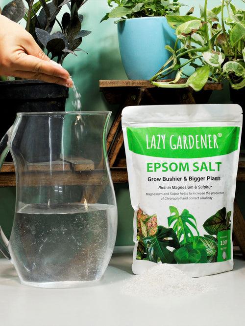 Epsom Salt Fertilizer for Plants (Magnesium Sulphate)