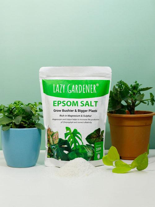 Epsom Salt Fertilizer for Plants (Magnesium Sulphate)