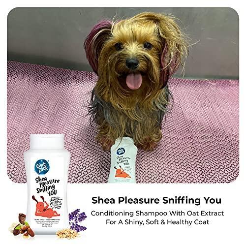 Shea Pleasure Sniffing You Moisturizing Oatmeal Dog Shampoo | 200ml (Pack of 4)