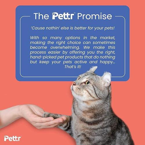 Pettr Cat Fishing Wand Toy