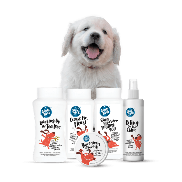 Grooming Essentials Mini Kit