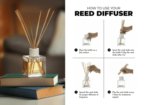 Scented Reed Diffuser & Reed Diffuser Refill Oil 1 Litre Egyptian Cotton