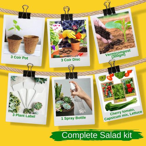 3 in 1 Salad Gardening Kit