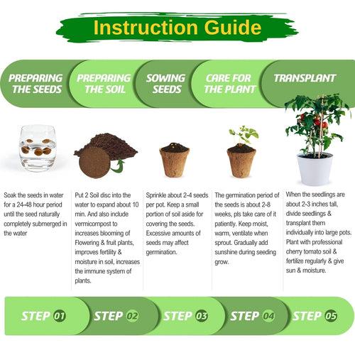 3 in 1 Salad Gardening Kit