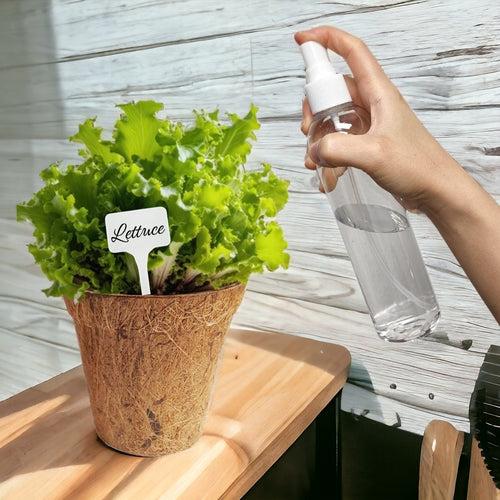 3 in 1 Salad Gardening Kit