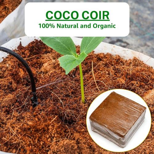 Cocopeat Block for Home Garden