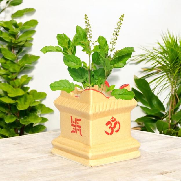 Ceramic Tulsi Plant Pot