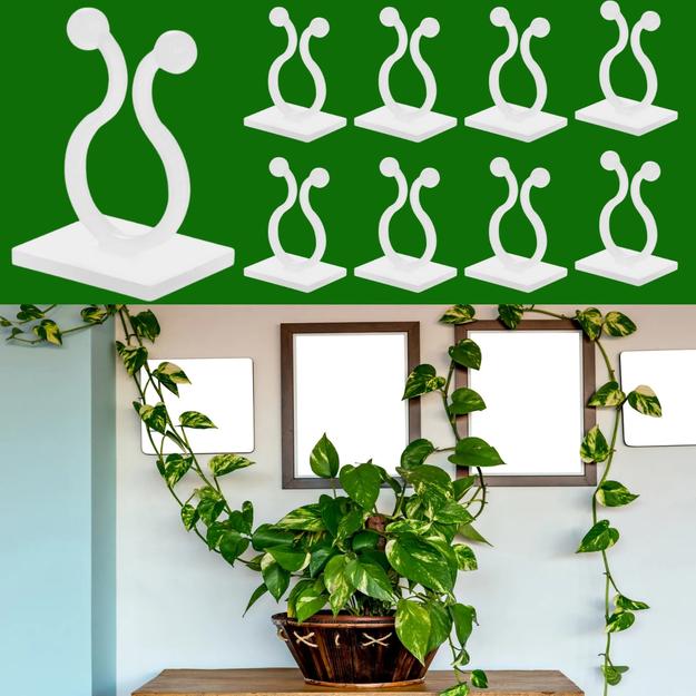 Plant Clips for Climbing Plants