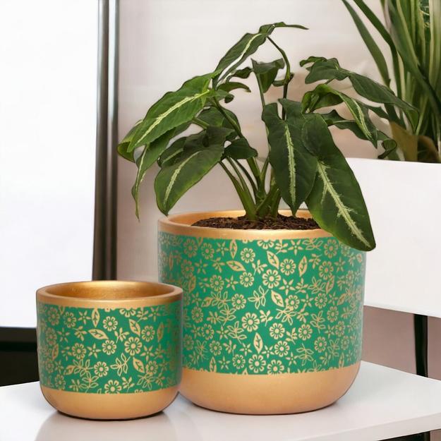 2 Pack Terracotta Pots for Plants