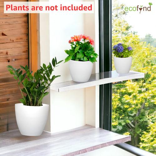 3 Pack Terracotta Pots for Plants