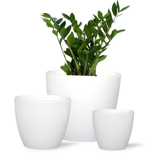 3 Pack Terracotta Pots for Plants