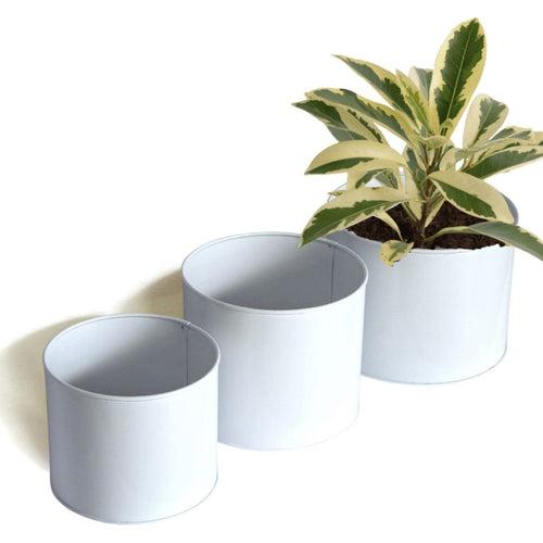 Centuria Metal Plant Pots