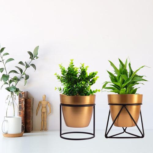 Gold Metal Planter Pot with Black Stand