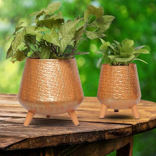 Hazel Metal Planter with Stand