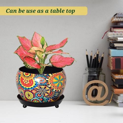 Lily Multicolor Metal Pot with Saucer Plate