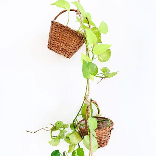 Flower Girl Wicker Basket