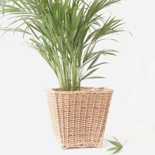 Square Hanging Wicker Planter, Set of 2