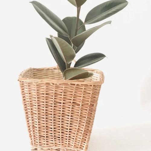 Square Hanging Wicker Planter, Set of 2