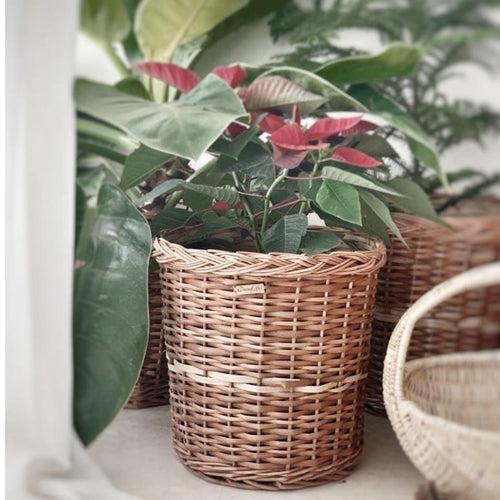 Wicker Planter Set