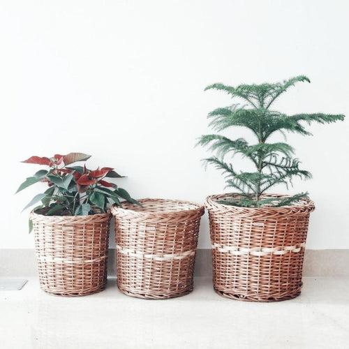 Wicker Planter Set