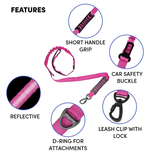 Whoof Whoof Premium Bungee Dog Leash For All Dog Breeds Hot Pink Medium to Large