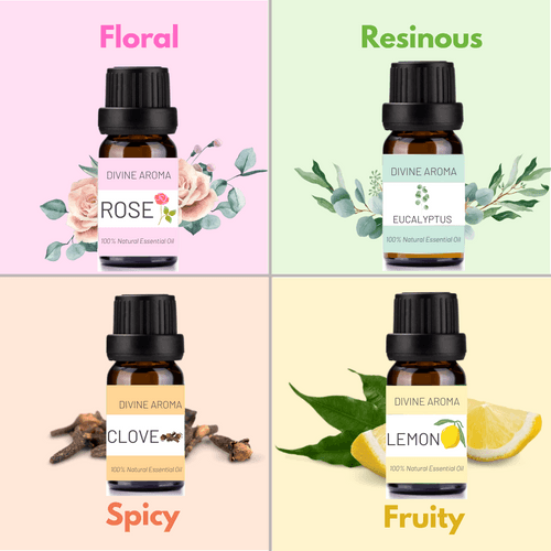 Smell training kit | Enhance your sense of smell | Clove, Rose, Eucalyptus, Lemon Essential oils