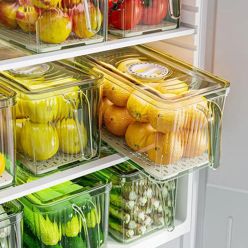 Fridge Storage Container