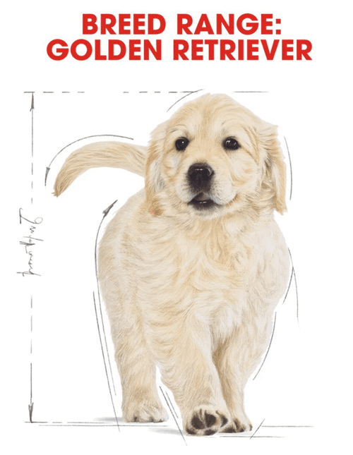 Royal Canin Golden Retriever Puppy Dry Dog Food