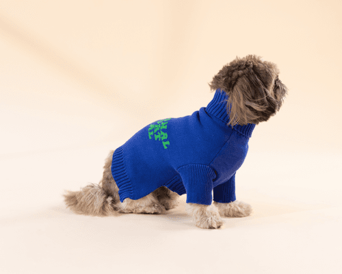 Emotional Support Animal Sweater