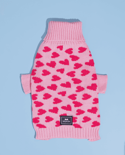 Love is in the Air - Dog Sweater