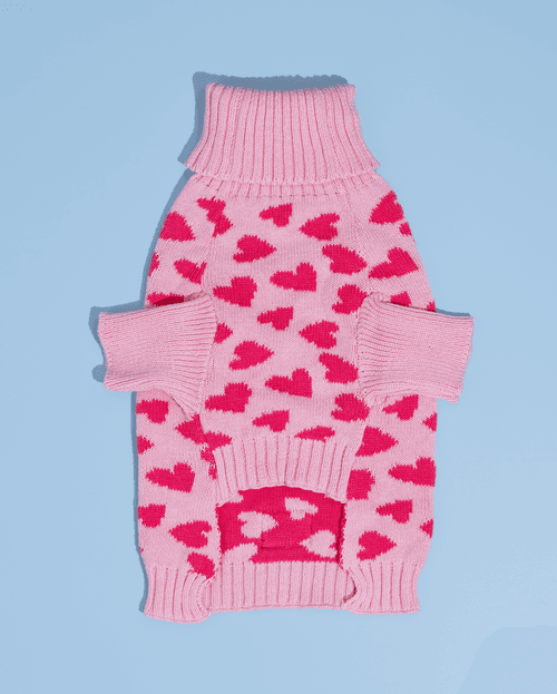 Love is in the Air - Dog Sweater