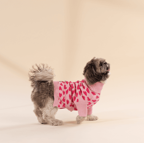 Love is in the Air - Dog Sweater