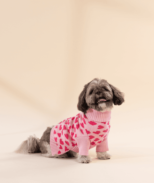 Love is in the Air - Dog Sweater