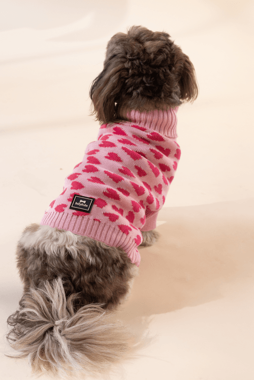 Love is in the Air - Dog Sweater