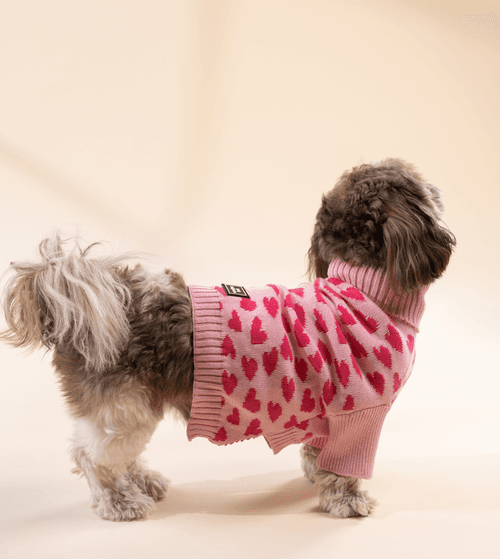 Love is in the Air - Dog Sweater