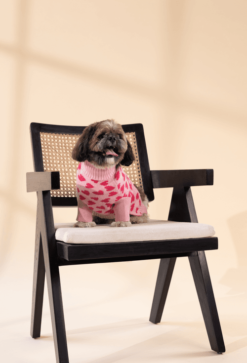 Love is in the Air - Dog Sweater