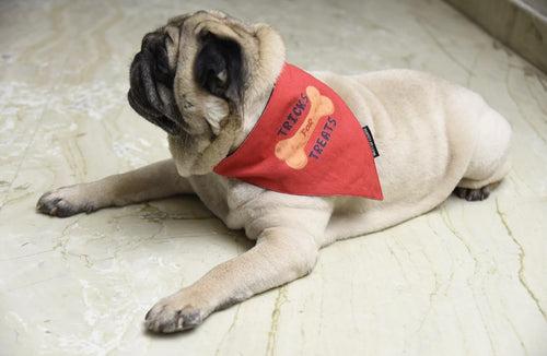 Tricks For Treats Bandana