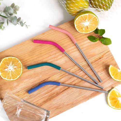 TintBox Reusable Stainless Steel Straws with Silicone Tip (Pack of 4 Straws with Cleaning Brush)