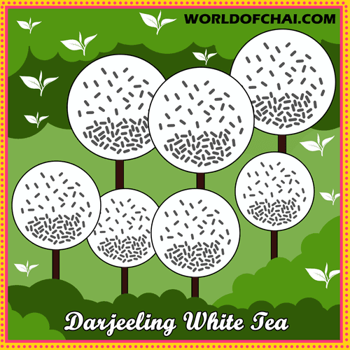 Darjeeling White Tea - Add unlimited spices