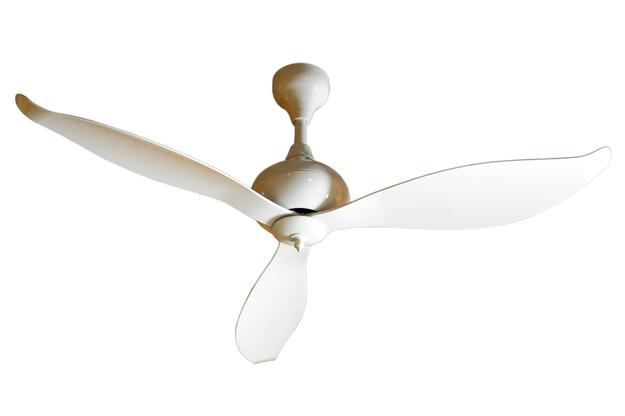 Dragonfly WH Ceiling Fan