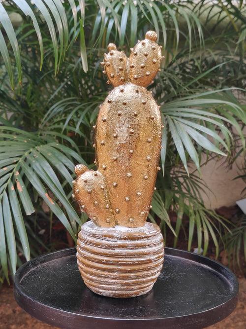 Gold Cactus In Pot