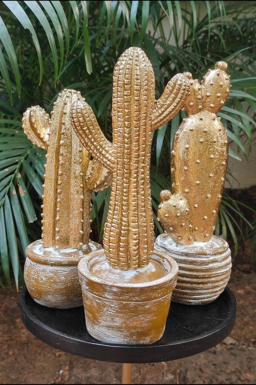 Gold Cactus In Pot