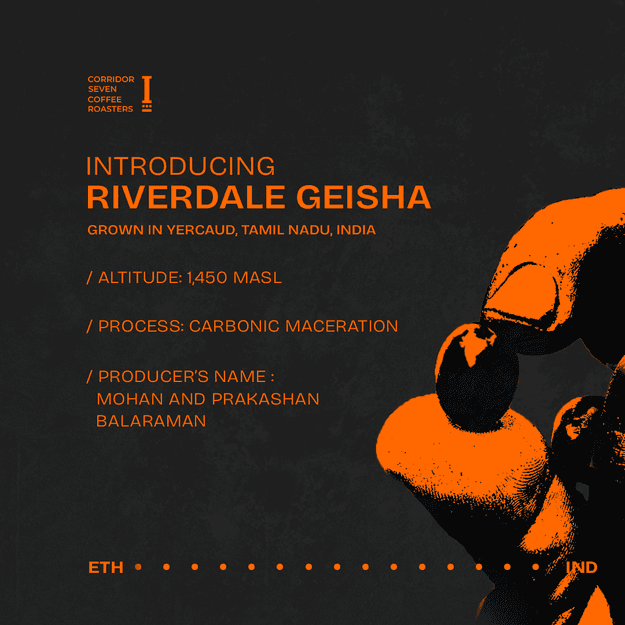 Riverdale Estate - Geisha