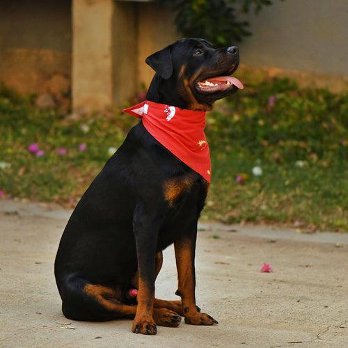 Dog Neckerchief - Medium -  Kiko & Patch