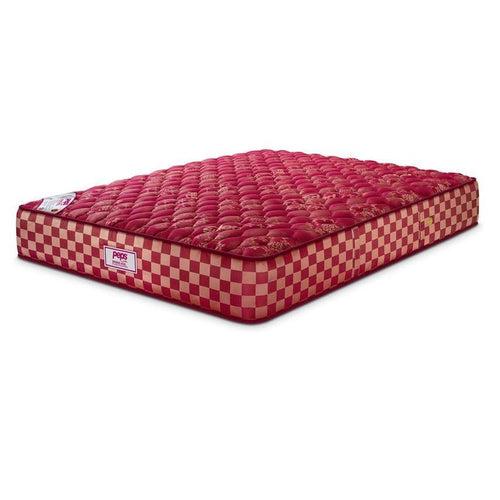 Peps Spring Koil Pillow Top - PU Foam