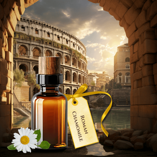 Roman Chamomile Pure Essential Oil