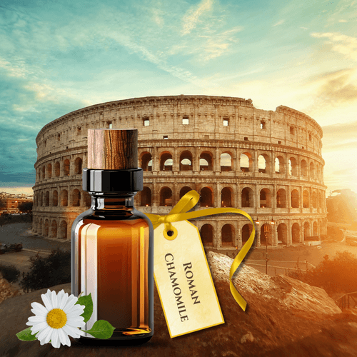 Roman Chamomile Pure Essential Oil