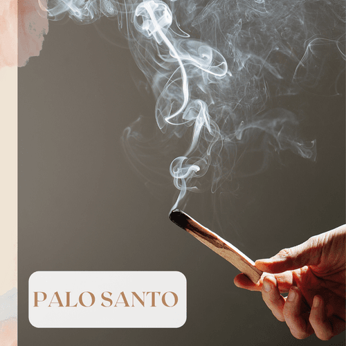 Palo Santo Stick for Smudging, Meditation, Energy Healing, Spirituality and Cleansing- Natural Aromatherapy Incense