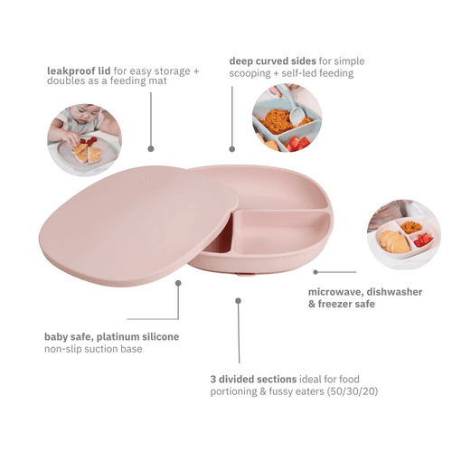 B.box Silicone Plate + Lid with Suction Base